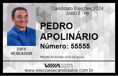 Candidato PEDRO APOLINÁRIO 2024 - ZABELÊ - Eleições