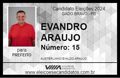 Candidato EVANDRO ARAUJO 2024 - GADO BRAVO - Eleições