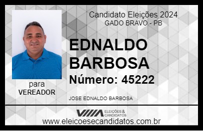 Candidato EDNALDO BARBOSA 2024 - GADO BRAVO - Eleições