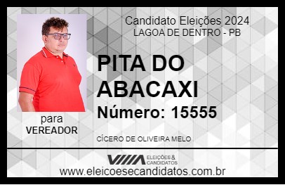 Candidato PITA DO ABACAXI 2024 - LAGOA DE DENTRO - Eleições