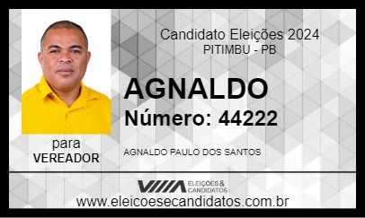 Candidato AGNALDO 2024 - PITIMBU - Eleições