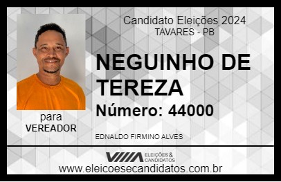 Candidato NEGUINHO DE TEREZA 2024 - TAVARES - Eleições