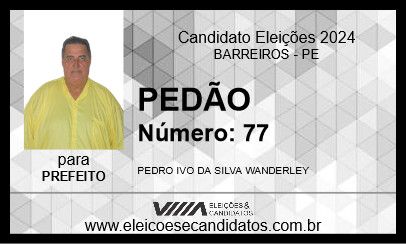 Candidato PEDÃO 2024 - BARREIROS - Eleições