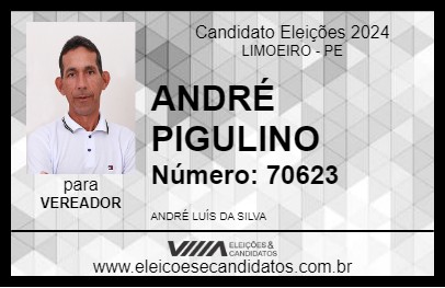 Candidato ANDRÉ PIGULINO 2024 - LIMOEIRO - Eleições