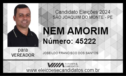 Candidato NEM AMORIM 2024 - SÃO JOAQUIM DO MONTE - Eleições