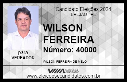 Candidato WILSON FERREIRA 2024 - BREJÃO - Eleições