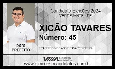 Candidato XICÃO TAVARES 2024 - VERDEJANTE - Eleições