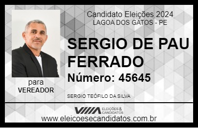 Candidato SERGIO DE PAU FERRADO 2024 - LAGOA DOS GATOS - Eleições