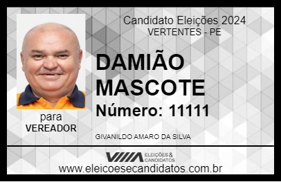 Candidato DAMIÃO MASCOTE 2024 - VERTENTES - Eleições