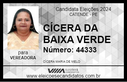 Candidato CÍCERA DA BAIXA VERDE 2024 - CATENDE - Eleições