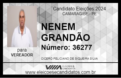 Candidato NENEM GRANDÃO 2024 - CAMARAGIBE - Eleições