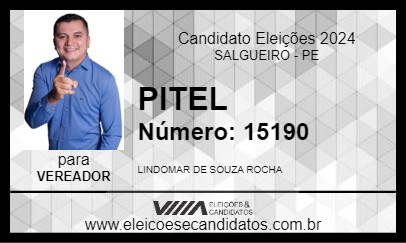 Candidato PITEL 2024 - SALGUEIRO - Eleições