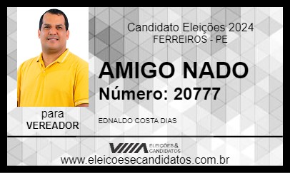 Candidato AMIGO NADO 2024 - FERREIROS - Eleições