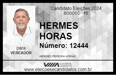 Candidato HERMES HORAS 2024 - BODOCÓ - Eleições