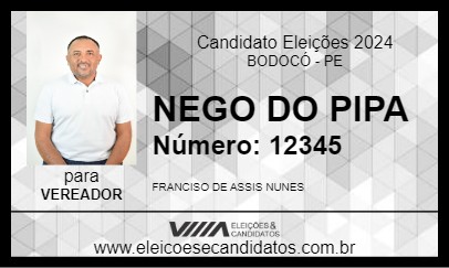 Candidato NEGO DO PIPA 2024 - BODOCÓ - Eleições