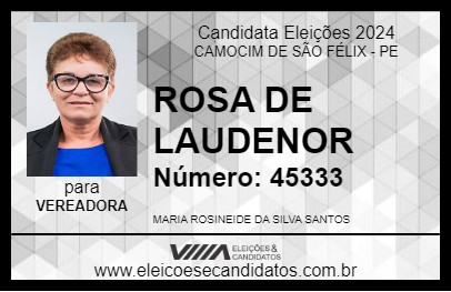 Candidato ROSA DE LAUDENOR 2024 - CAMOCIM DE SÃO FÉLIX - Eleições