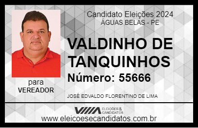 Candidato VALDINHO DE TANQUINHOS 2024 - ÁGUAS BELAS - Eleições