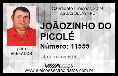 Candidato JOÃOZINHO DO PICOLÉ 2024 - ÁGUAS BELAS - Eleições