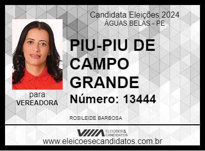 Candidato PIU-PIU DE CAMPO GRANDE 2024 - ÁGUAS BELAS - Eleições