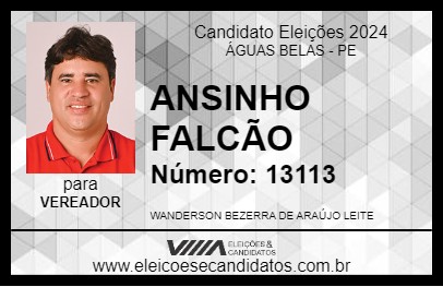 Candidato ANSINHO FALCÃO 2024 - ÁGUAS BELAS - Eleições