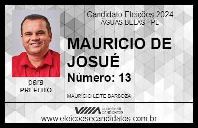 Candidato MAURICIO DE JOSUÉ 2024 - ÁGUAS BELAS - Eleições