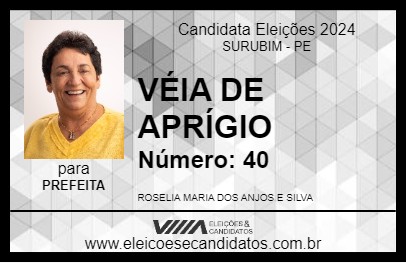 Candidato VÉIA DE APRÍGIO 2024 - SURUBIM - Eleições