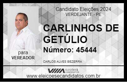 Candidato CARLINHOS DE GETÚLIO 2024 - VERDEJANTE - Eleições