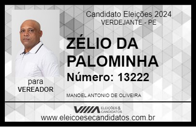 Candidato ZÉLIO DA PALOMINHA 2024 - VERDEJANTE - Eleições