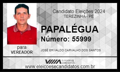 Candidato PAPALÉGUA 2024 - TEREZINHA - Eleições