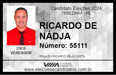 Candidato RICARDO DE NÁDJA 2024 - TEREZINHA - Eleições