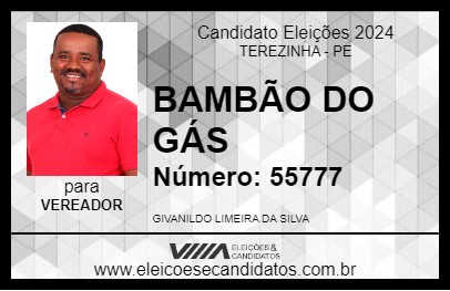 Candidato BAMBÃO DO GÁS 2024 - TEREZINHA - Eleições