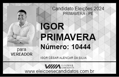 Candidato IGOR PRIMAVERA 2024 - PRIMAVERA - Eleições