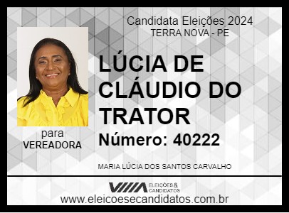 Candidato LÚCIA DE CLÁUDIO DO TRATOR 2024 - TERRA NOVA - Eleições