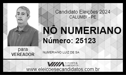 Candidato NÔ NUMERIANO 2024 - CALUMBI - Eleições