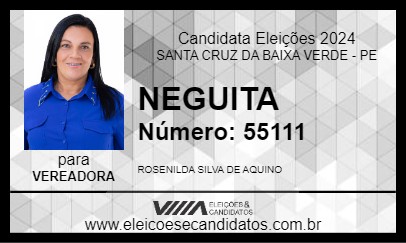 Candidato NEGUITA 2024 - SANTA CRUZ DA BAIXA VERDE - Eleições