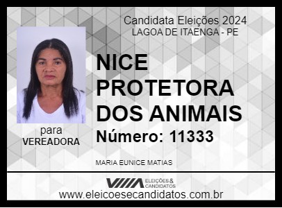 Candidato NICE PROTETORA DOS  ANIMAIS 2024 - LAGOA DE ITAENGA - Eleições