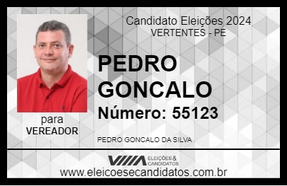 Candidato PEDRO GONÇALO 2024 - VERTENTES - Eleições