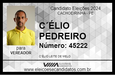 Candidato CÉLIO PEDREIRO 2024 - CACHOEIRINHA - Eleições