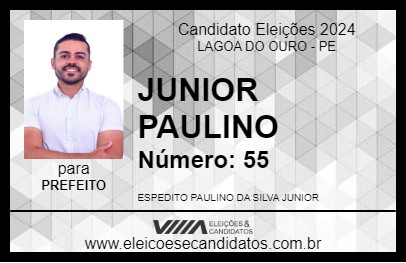 Candidato JUNIOR PAULINO 2024 - LAGOA DO OURO - Eleições