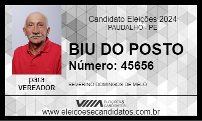 Candidato BIU DO POSTO 2024 - PAUDALHO - Eleições