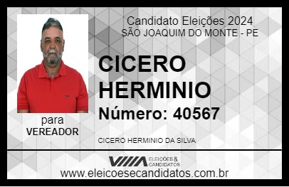 Candidato CICERO HERMINIO 2024 - SÃO JOAQUIM DO MONTE - Eleições