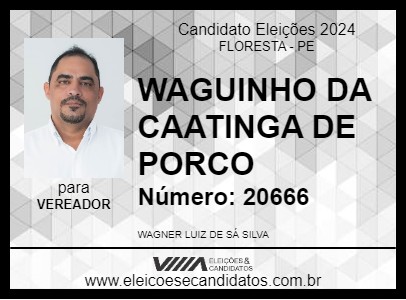 Candidato WAGUINHO DA CAATINGA DE PORCO 2024 - FLORESTA - Eleições