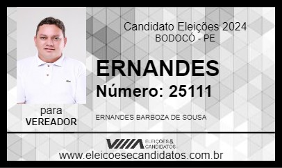 Candidato ERNANDES 2024 - BODOCÓ - Eleições