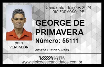 Candidato GEORGE DE PRIMAVERA 2024 - RIO FORMOSO - Eleições