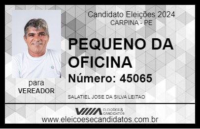 Candidato PEQUENO DA OFICINA 2024 - CARPINA - Eleições