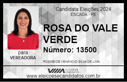 Candidato ROSA DO VALE VERDE 2024 - ESCADA - Eleições