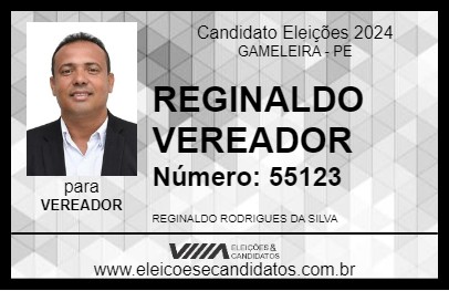 Candidato REGINALDO VEREADOR 2024 - GAMELEIRA - Eleições