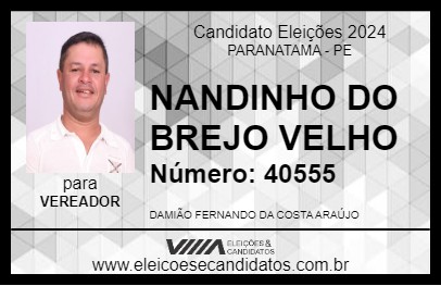 Candidato NANDINHO DO BREJO VELHO 2024 - PARANATAMA - Eleições