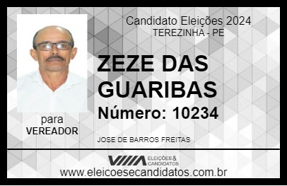 Candidato ZEZE DAS GUARIBAS 2024 - TEREZINHA - Eleições