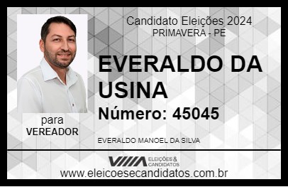 Candidato EVERALDO DA USINA 2024 - PRIMAVERA - Eleições